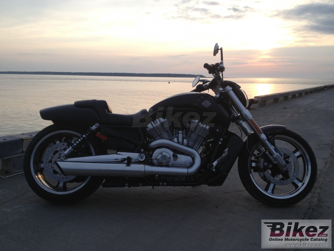 Harley-Davidson VRSCF V-Rod Muscle