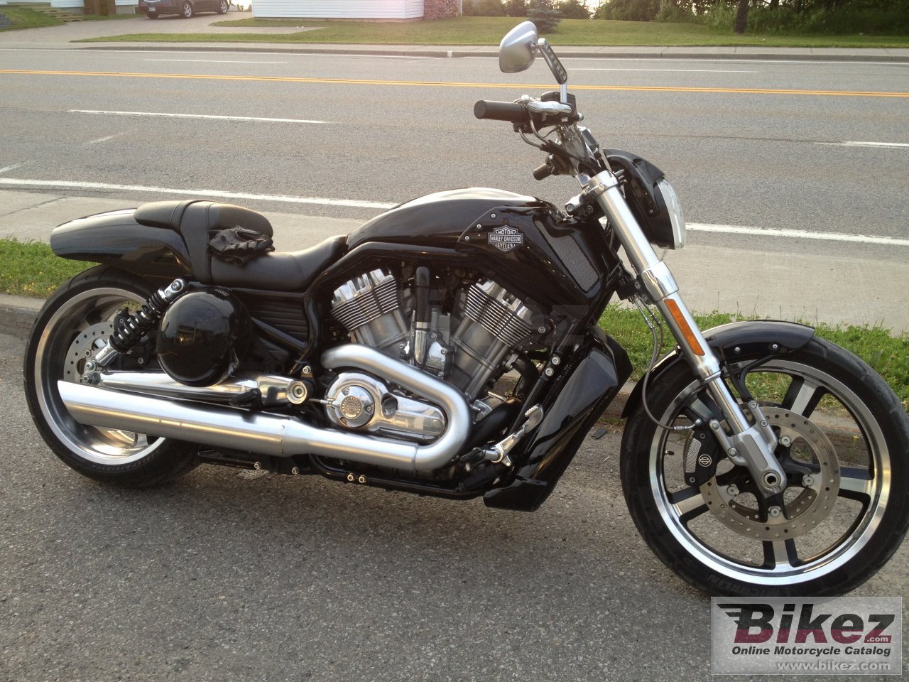 Harley-Davidson VRSCF V-Rod Muscle