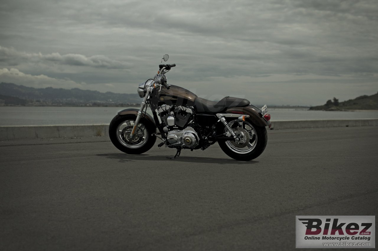 Harley-Davidson 1200 Custom 110th Anniversary
