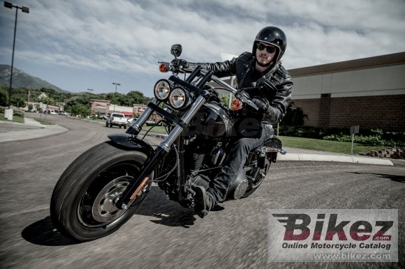 2014 Harley-Davidson Dyna Fat Bob