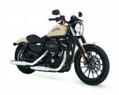 2015 Harley-Davidson Sportster Iron 883