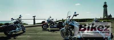 2015 Harley-Davidson Softail Fat Boy Lo