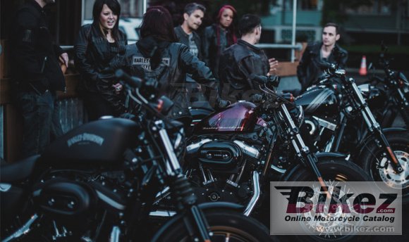 2015 Harley-Davidson Sportster Forty-Eight Dark Custom