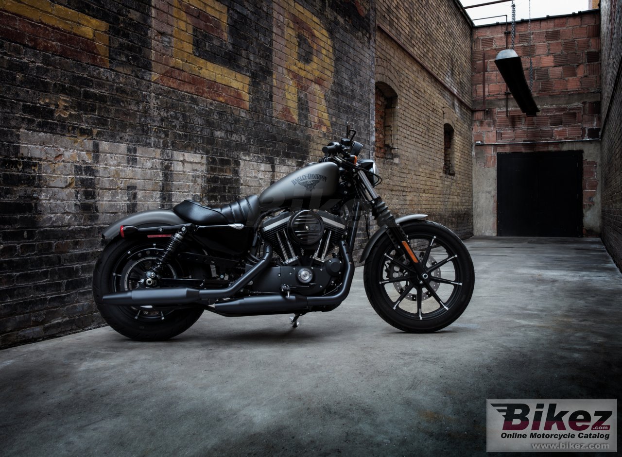 Harley-Davidson Sportster Iron 883