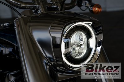 2018 Harley-Davidson 115th Anniversary Fat Boy 114 (ANV)