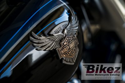 2018 Harley-Davidson 115th Anniversary Fat Boy 114 (ANV)
