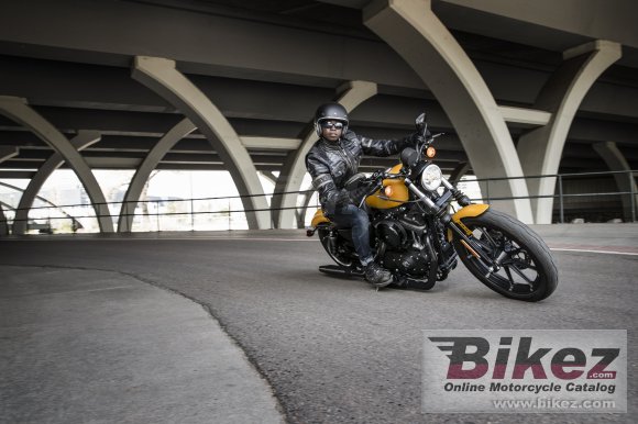 2019 Harley-Davidson Sportster Iron 883