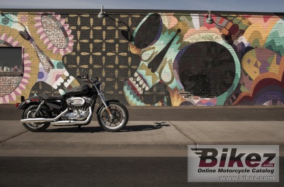 2019 Harley-Davidson Sportster Superlow