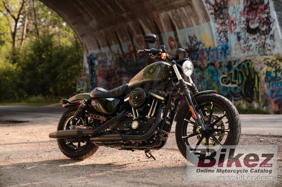 2021 Harley-Davidson Iron 883