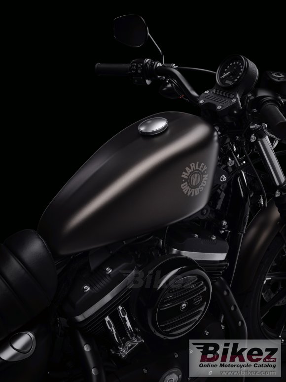 2021 Harley-Davidson Iron 883