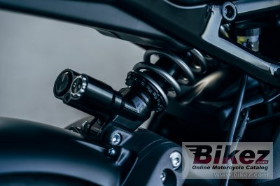 2021 Harley-Davidson LiveWire