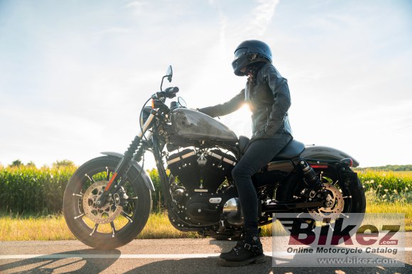 2022 Harley-Davidson Iron 883