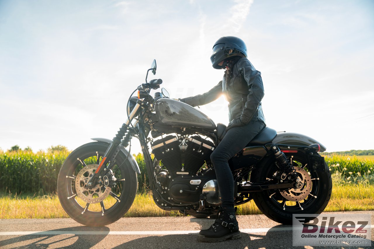 Harley-Davidson Iron 883