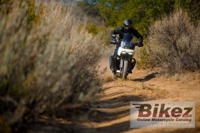 2022 Harley-Davidson Pan America 1250 Special