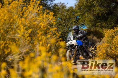 2022 Harley-Davidson Pan America 1250 Special
