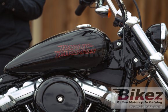 2024 Harley-Davidson Softail Standard