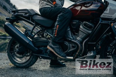 2024 Harley-Davidson Pan America 1250 Special