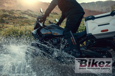 2024 Harley-Davidson Pan America 1250 Special