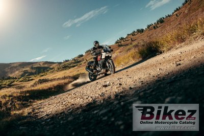 2024 Harley-Davidson Pan America 1250 Special
