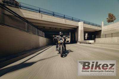 2025 Harley-Davidson Street Bob 117 