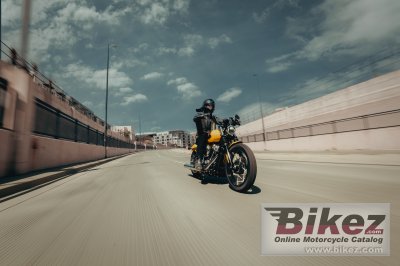 2025 Harley-Davidson Street Bob 117 