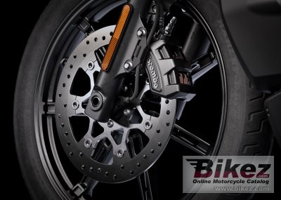 2025 Harley-Davidson Nightster