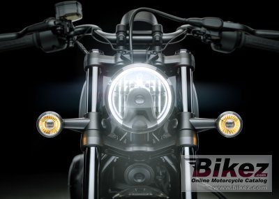 2025 Harley-Davidson Nightster