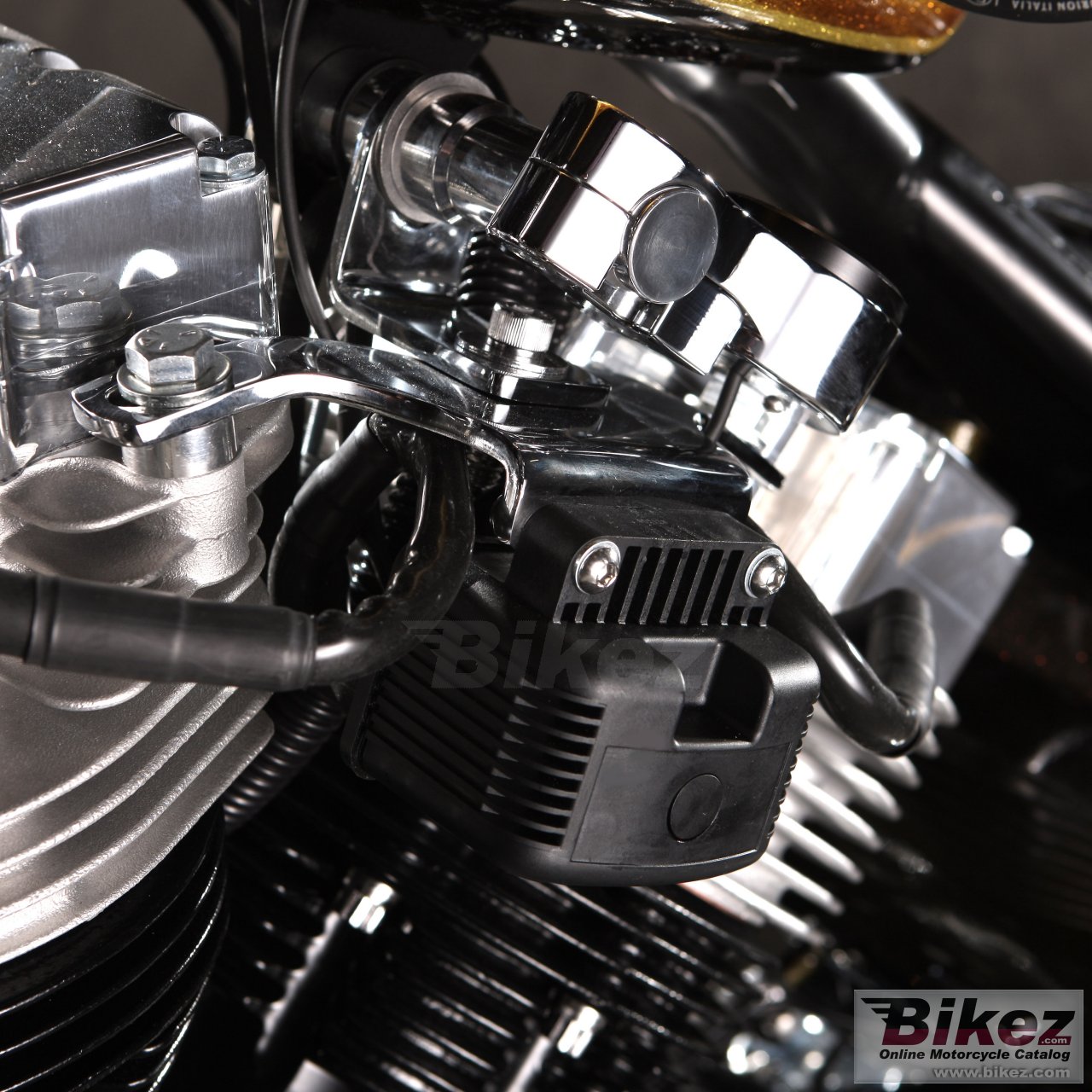 Headbanger Gypsy Soul