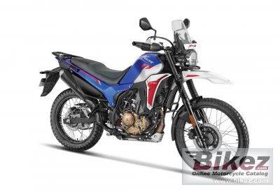 2025 Hero XPulse 210 