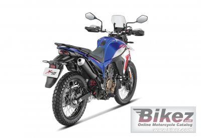 2025 Hero XPulse 210 