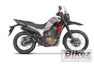 2025 Hero XPulse 210 