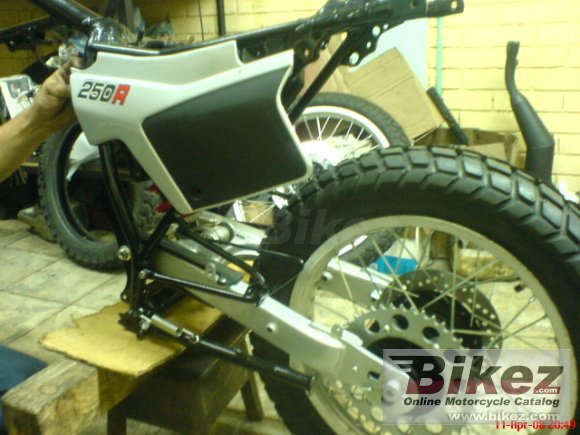 1983 Honda XL 250 R