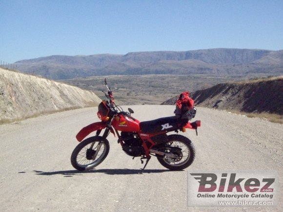 1983 Honda XL 250 R