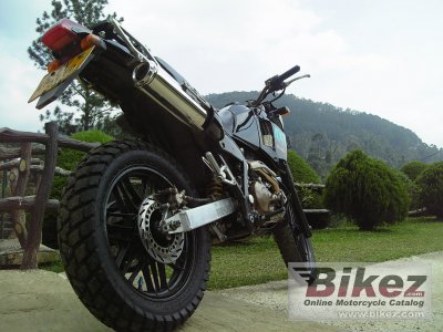 1983 Honda AX-1 Sports Traverse
