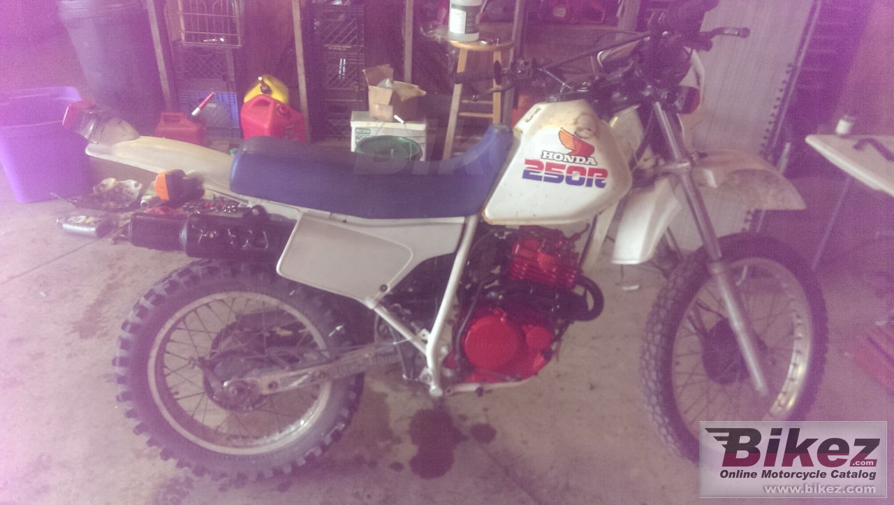 Honda XL 250 R