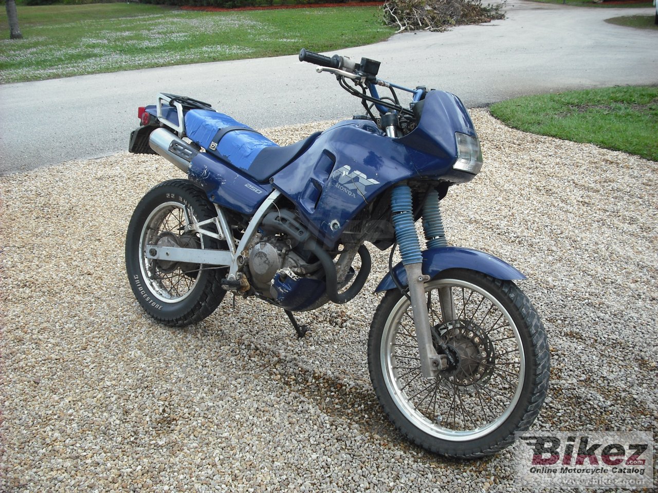 Honda NX 250