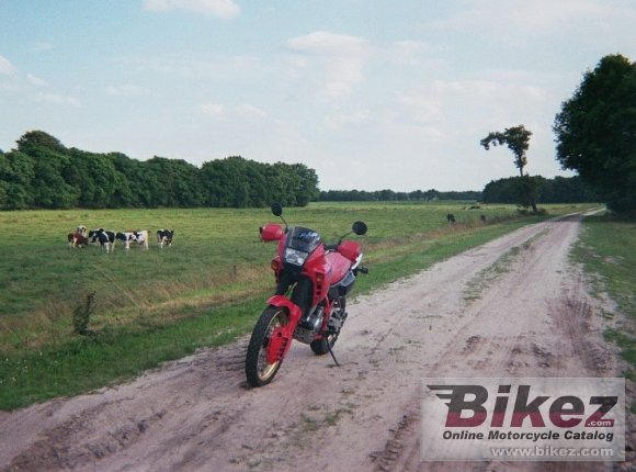 1993 Honda NX 650 Dominator