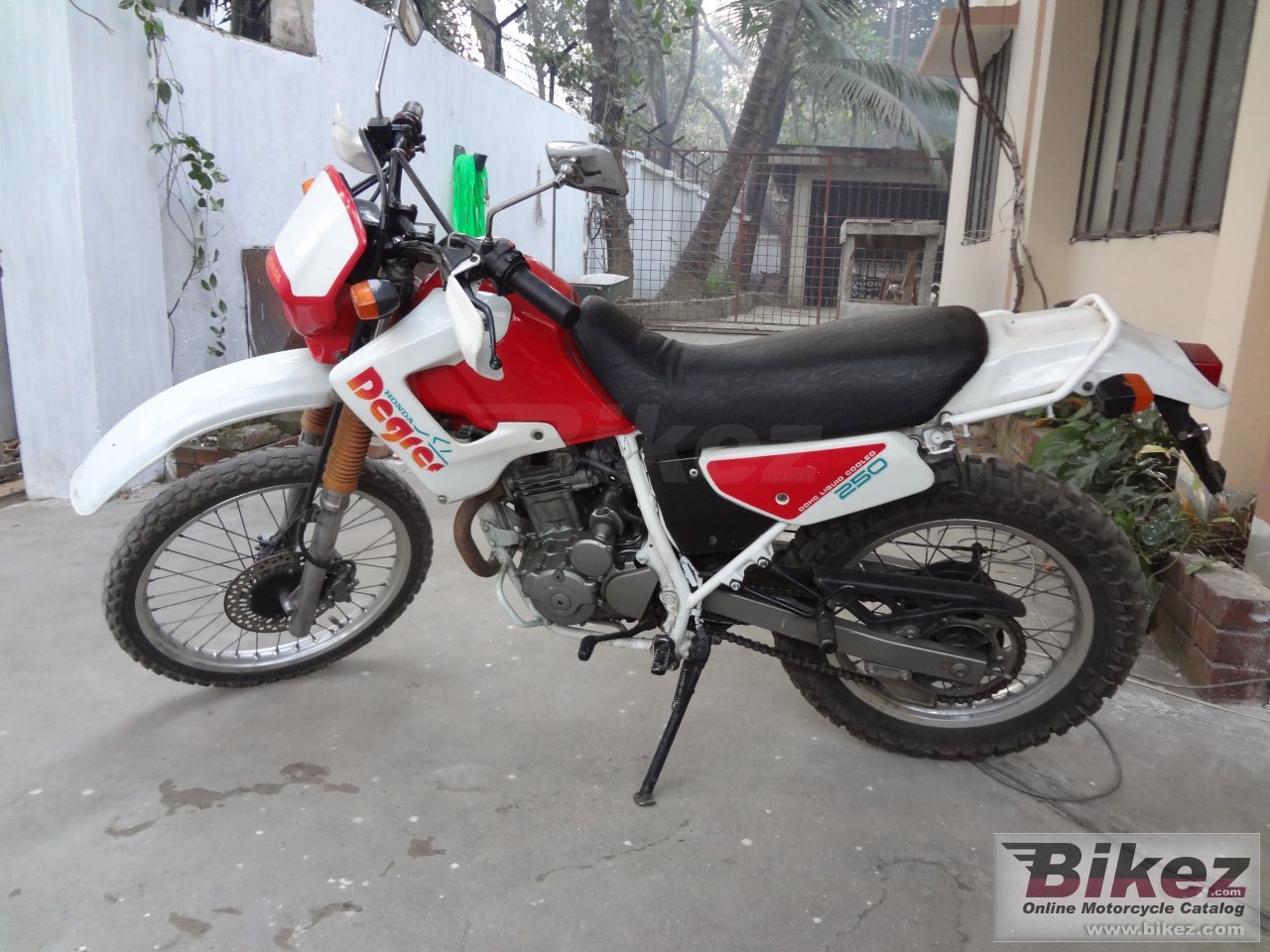 Honda NX 250