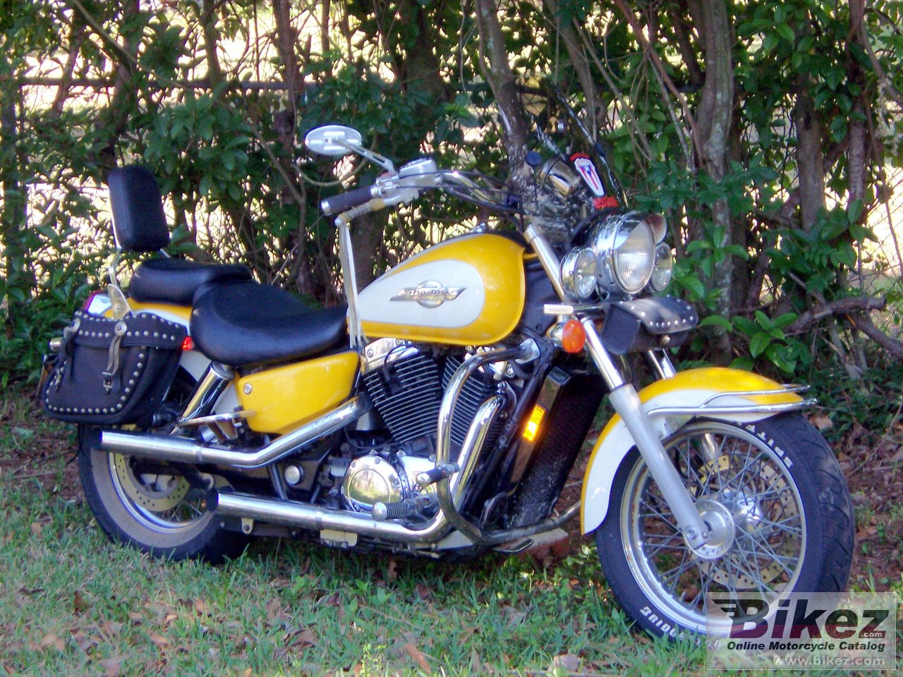 Honda VT 1100 C2 Shadow ACE