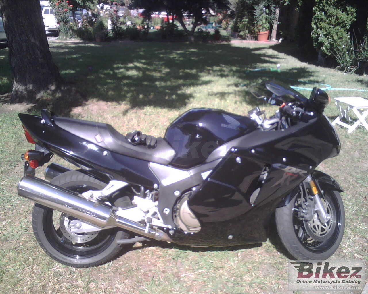 Honda CBR 1100 XX Super Blackbird