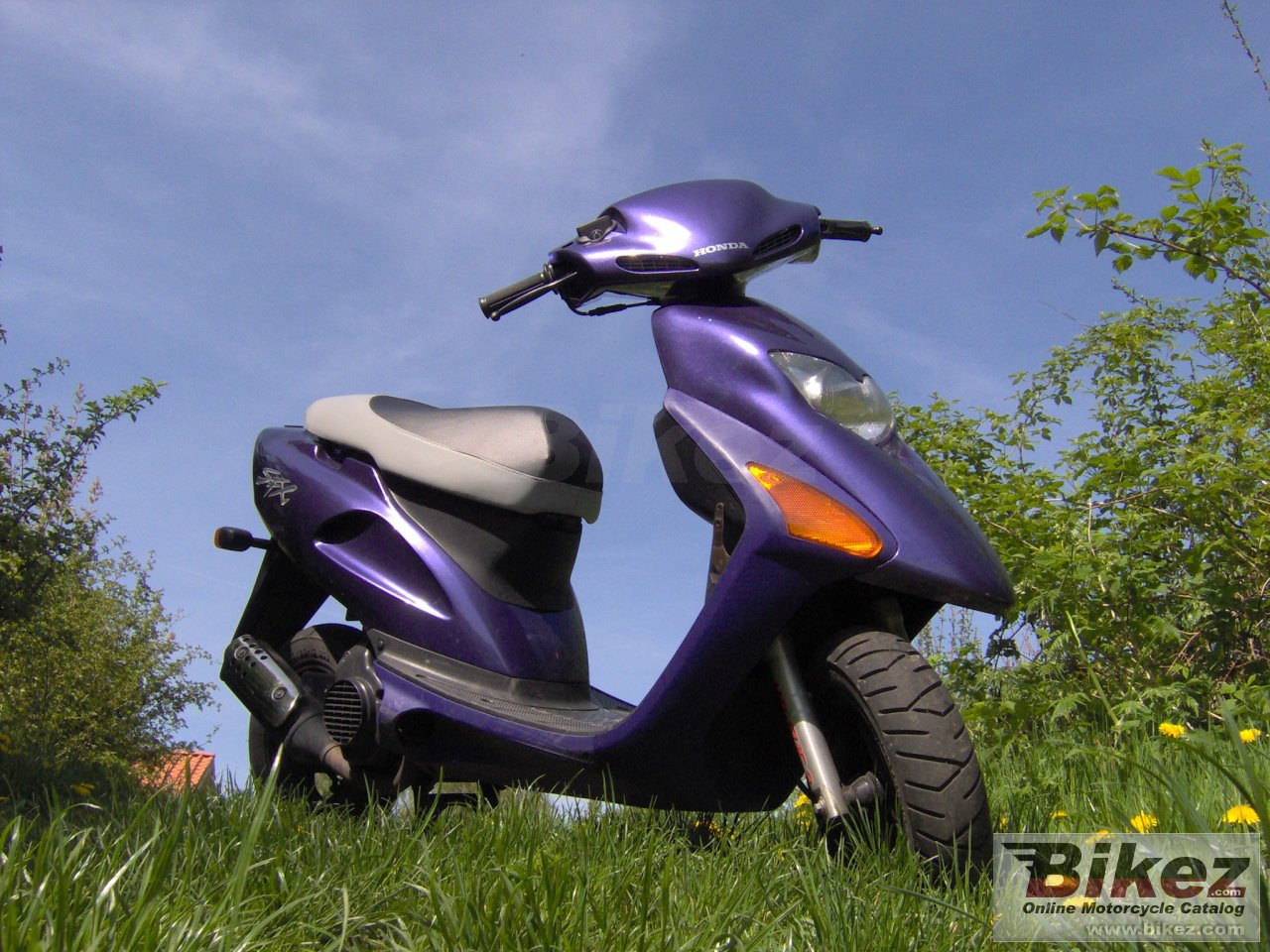 Honda SFX 50