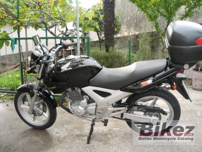 2007 Honda CBF250