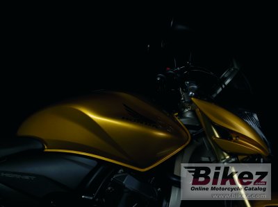 2007 Honda CB600F Hornet