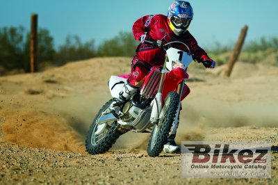 2008 Honda CRF 450 X