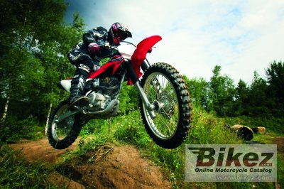 2008 Honda CRF 230 F