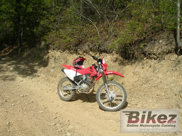 2009 Honda CRF230F