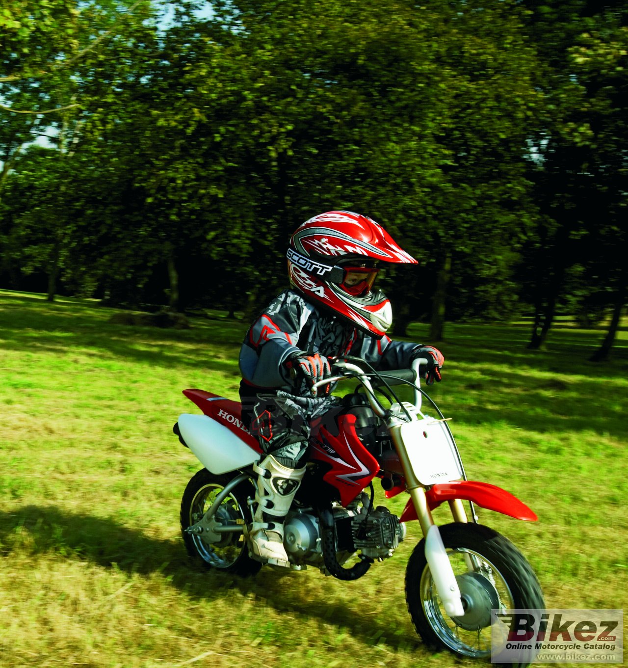 Honda CRF50F