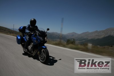 2009 Honda CBF600S