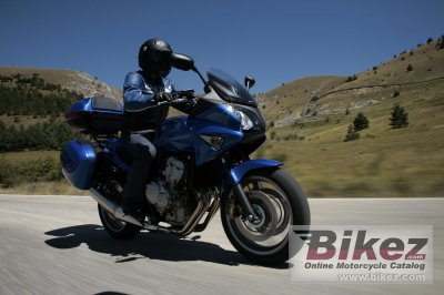 2009 Honda CBF600S
