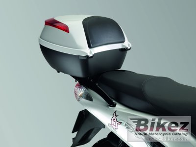 2009 Honda PS125i
